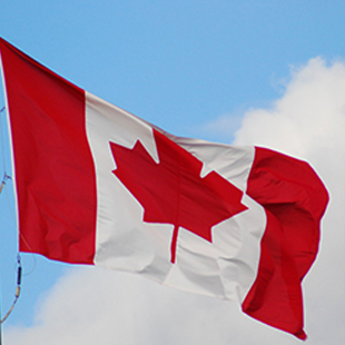 1 millón de personas hablan español.