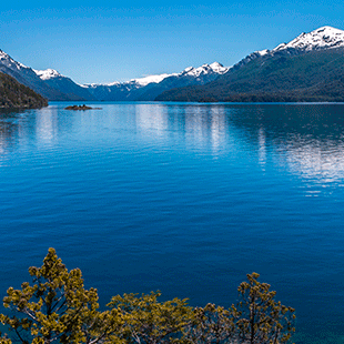 Así como el Lago Ness de Escocia tiene su propio monstruo y el Nahuel Huapi esconde al suyo, algunos aseguran que en la Reserva Ecológica Costanera Sur también habita un animal misterioso, mitad rata, mitad perro, apodado “Reservito”.