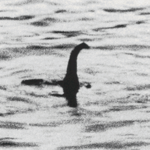 There was never a monster in Loch Ness. The photo was a hoax.