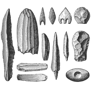 We started using them 3.4 million years ago(!)